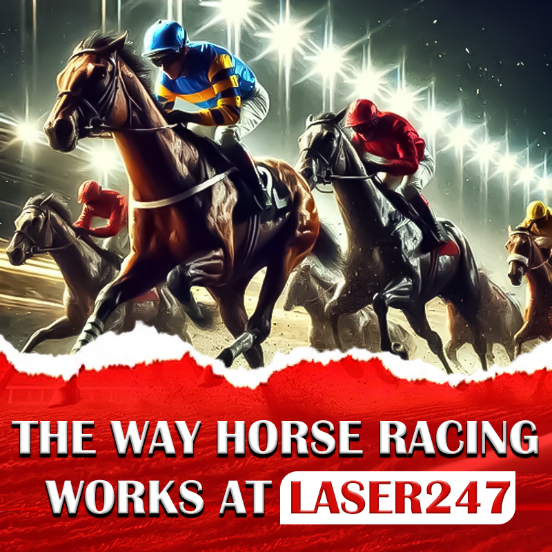 The Way Horse Racing Works at Laser247​