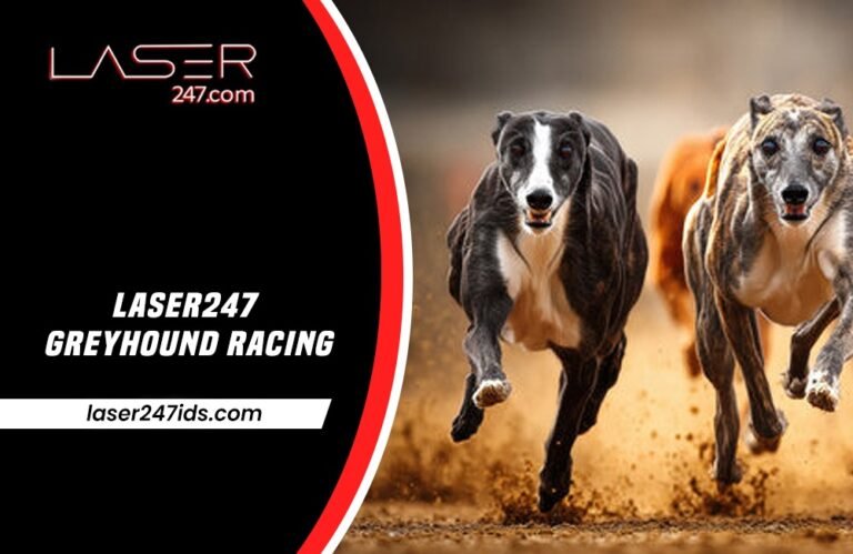 Laser247 Greyhound Racing