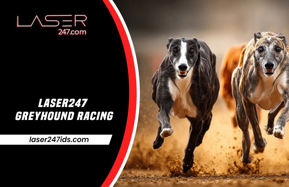 Laser247 Greyhound Racing